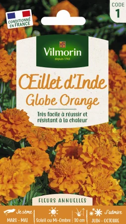 Œillet D'Inde Globe Orange Orange
