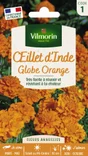 Œillet D'Inde Globe Orange Orange