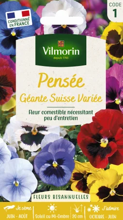 Pensée géante suisse varié