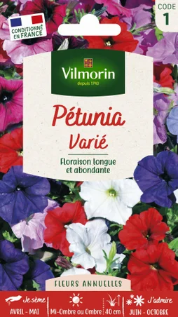 Pétunia graine florale varié