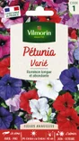 Pétunia graine florale varié