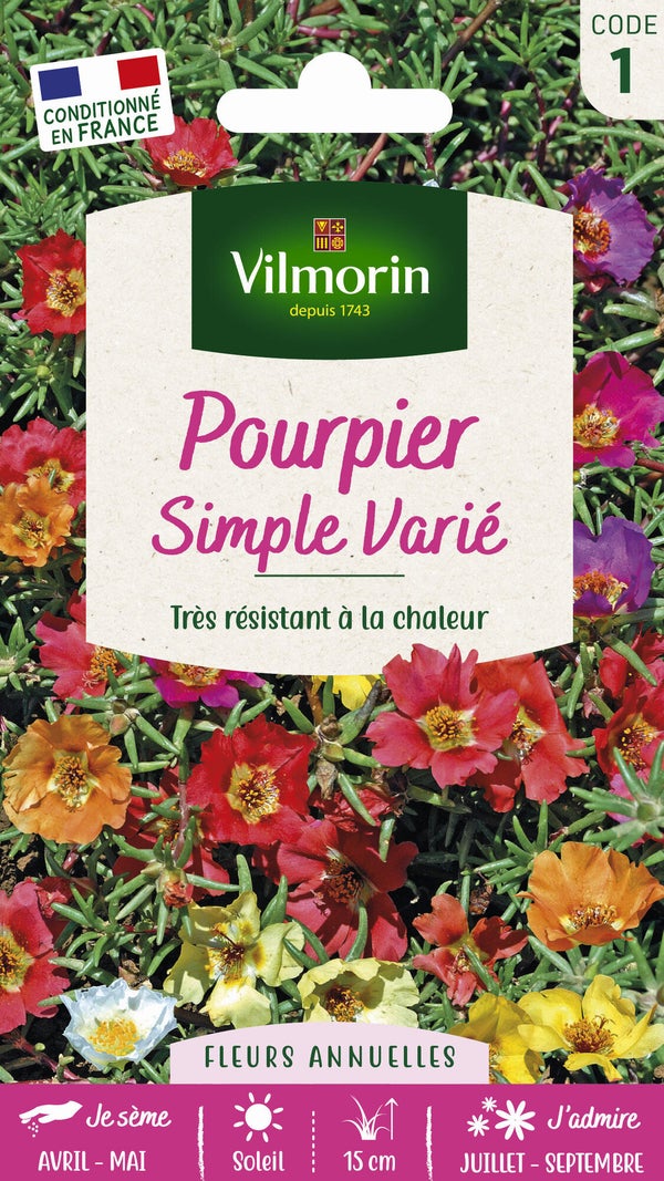Pourpier à grande fleur simple varié VILMORIN