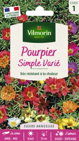 Pourpier à grande fleur simple varié VILMORIN