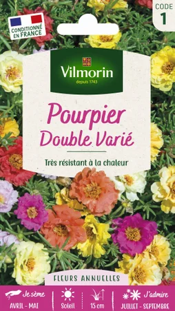 Pourpier à grande fleur double varié