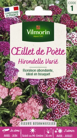 Oeillet poéte hirondelle varié