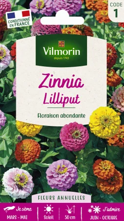 Zinnia lilliput varié varié