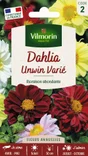 Dahlia unwin multicolore VILMORIN