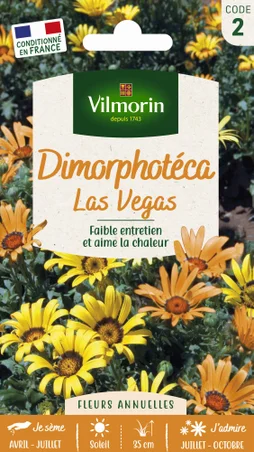 Dimorphotheca las vegas blanc à orange