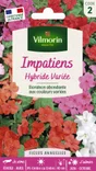 Impatiens hybride multicolore