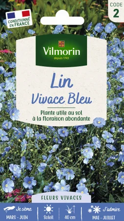 Lin vivace bleu bleu