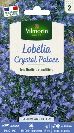 Lobélia crystal violet