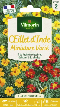 Œillet d'Inde miniature varié