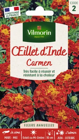Œillet d'Inde carmen rouge