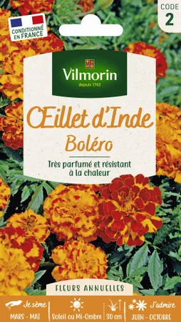 Œillet d'Inde bolero orange