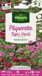Paquerette tapis varié VILMORIN