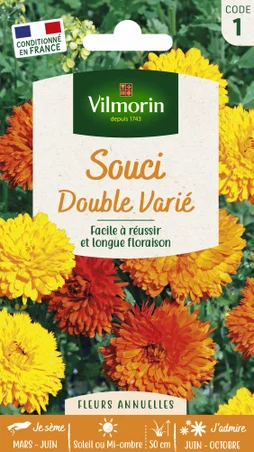 Souci double varié jaune