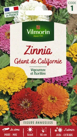 Zinnia géant de californie varié
