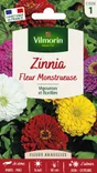 Zinnia fleurs monstrueuse varié