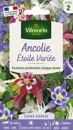 Ancolie étoile varié multicolore