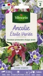 Ancolie étoile varié multicolore