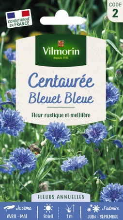 Centaurée bleuet double bleu