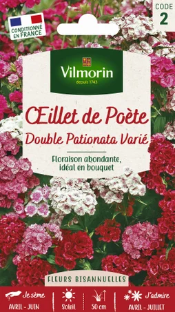 Œillet de poete double pationata varié