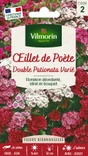 Œillet de poete double pationata varié
