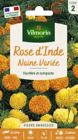 Rose d'inde naine orange VILMORIN