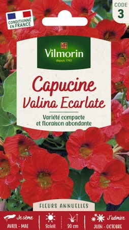 Capucine valina écartale rouge