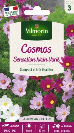 Cosmos sensation nain blanc, rose, rouge
