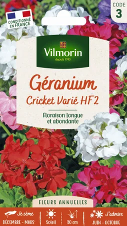 Géranium cricket multicolore