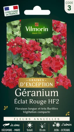 Géranium éclat rouge rouge