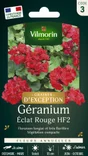 Géranium éclat rouge rouge