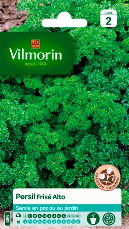 Persil frisé alto VILMORIN 5 g