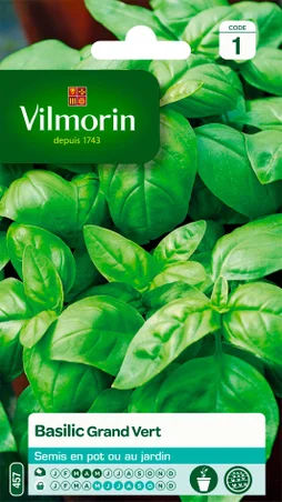 Basilic grand vert VILMORIN 2 g