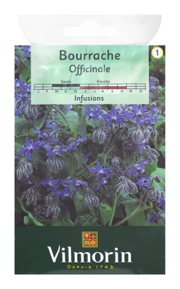 Bourrache officinale VILMORIN 1 g