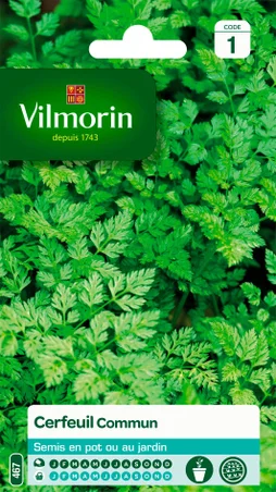 Cerfeuil commun VILMORIN 2.5 g