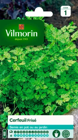 Cerfeuil frisé VILMORIN 2.5 g
