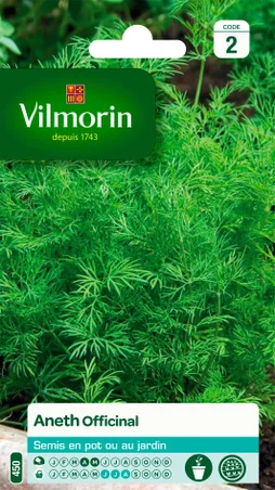 Aneth officinale VILMORIN 5 g