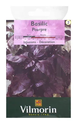 Basilic pourpre VILMORIN 1 g