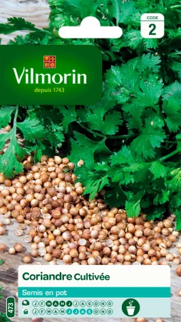 Coriandre cultivée VILMORIN 4 g
