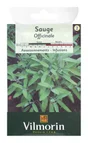 Sauge officinale VILMORIN 2 g