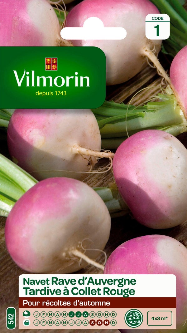 Navet tardif d'auvergne VILMORIN 6 g