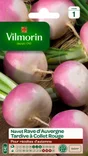Navet tardif d'auvergne VILMORIN 6 g