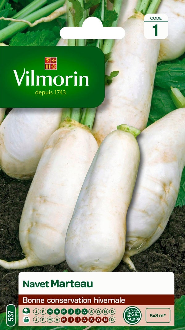 Navet marteau VILMORIN 4 g