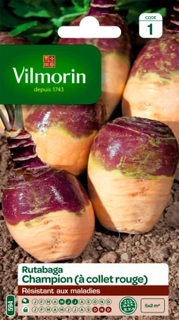 Chou-navets rutabaga champion à col rouge VILMORIN 10 g