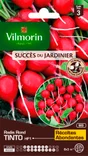 Radis tinto, hybride f1 VILMORIN 6 g