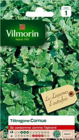 Graine potagère tétragone cornue VILMORIN 5 g