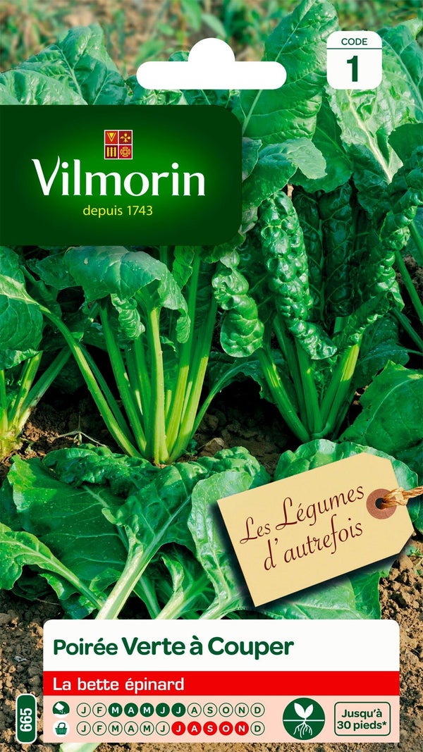 Poirée verte à couper VILMORIN 5 g
