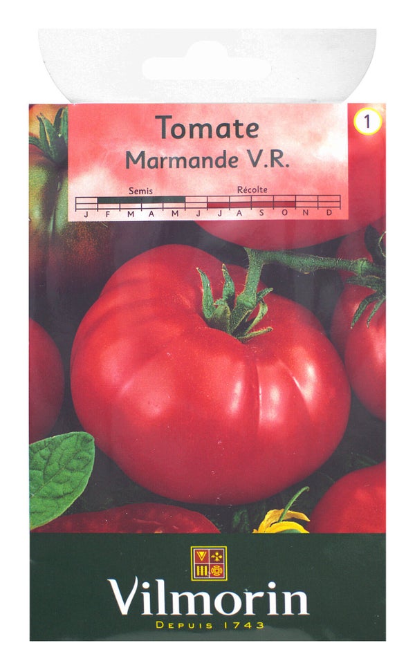 Tomate marmande VILMORIN 1.5 g